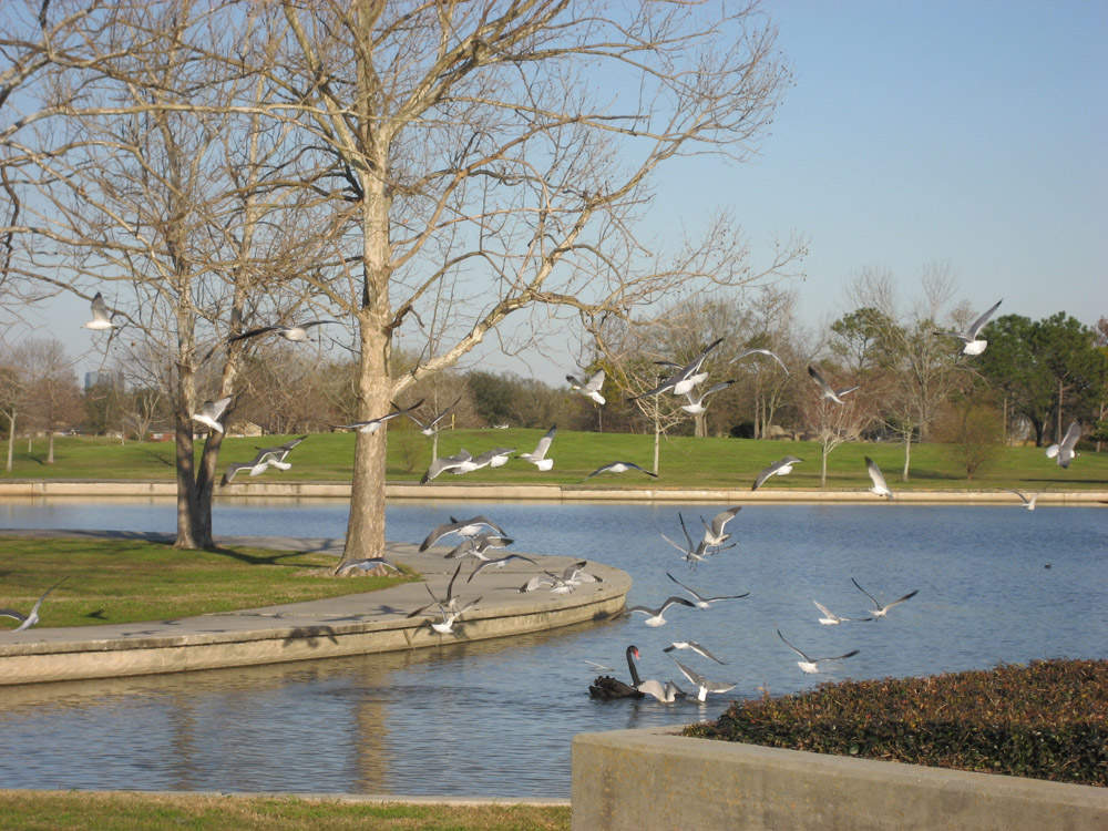 Lafreniere Park