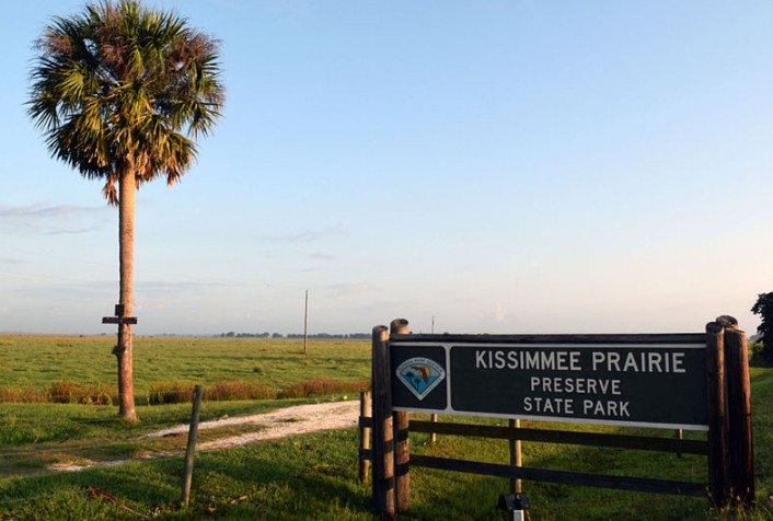 State Park Kissimmee Prairie Preserve